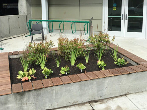 anchorage-commercial-landscaping